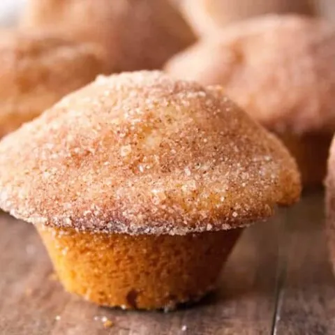Cinnamon Sugar Doughnut Muffins