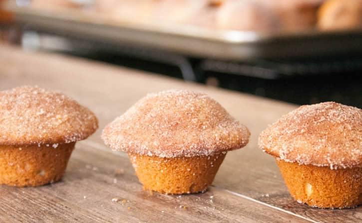 cinnamon-sugar-donut-muffins-06