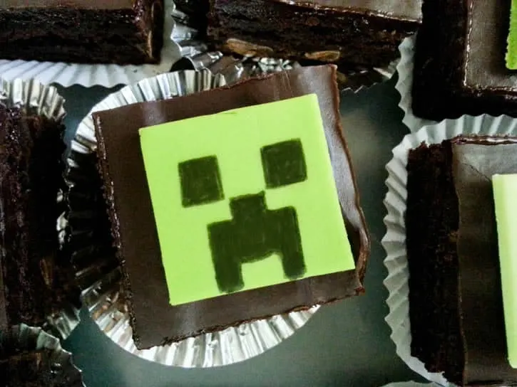 A Minecraft Birthday-16