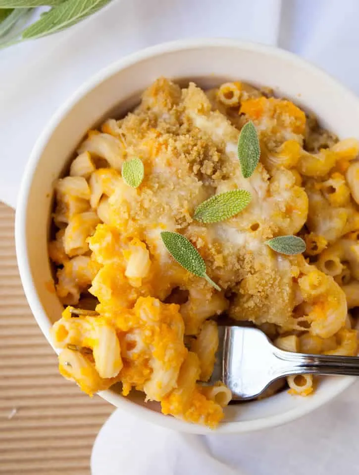 Butternut Squash Macaroni Skillet REV-12