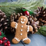 Soft Gingerbread Cookies. Soft, sink your teeth into it cookie with a nice balance of warm spices. Orange icing complements this delicious holiday treat!