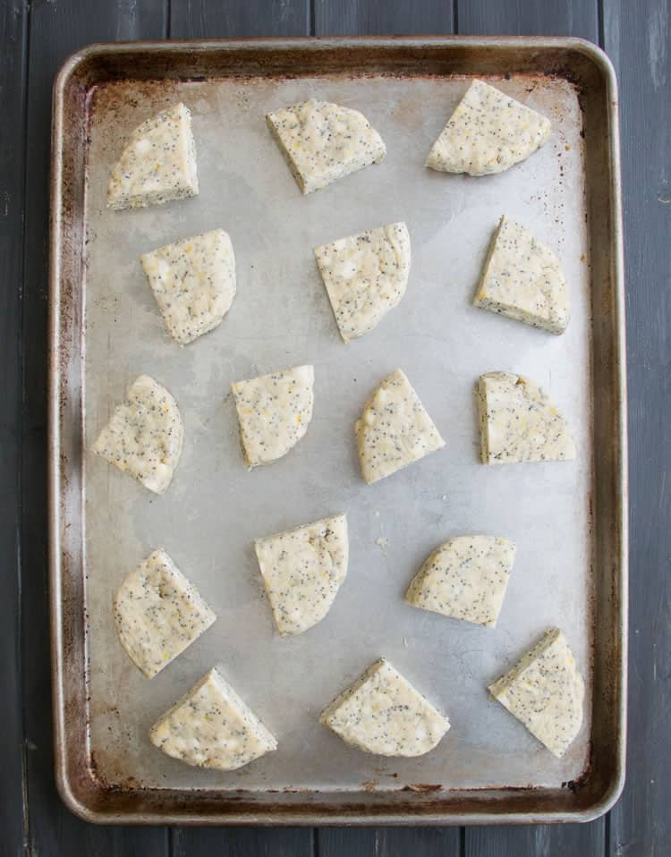 Lemon Ricotta Poppy Seed Scones are rich with butter and ricotta cheese, speckled with poppy seeds and covered in a super lemony glaze.