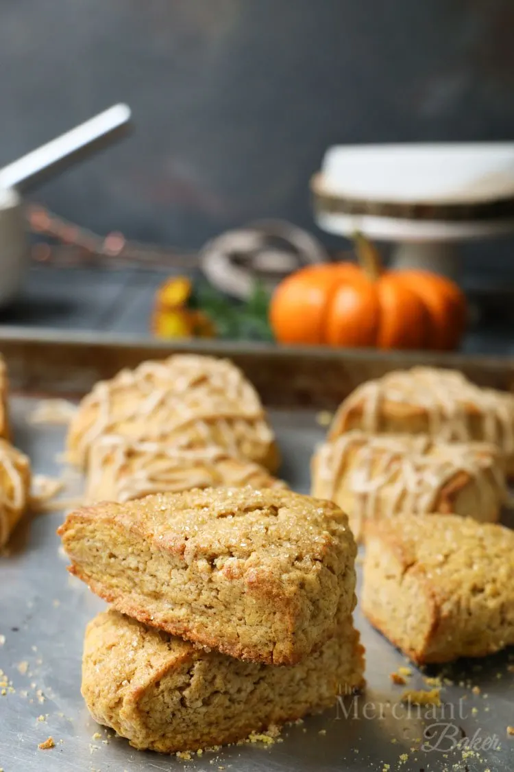 The best pumpkin scones with and without cinnamon icing on a baking sheet by themerchantbaker.com