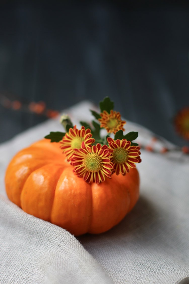 A small pumpkin with Gerber daisies on a small pumpkin by themerchantbaker.com