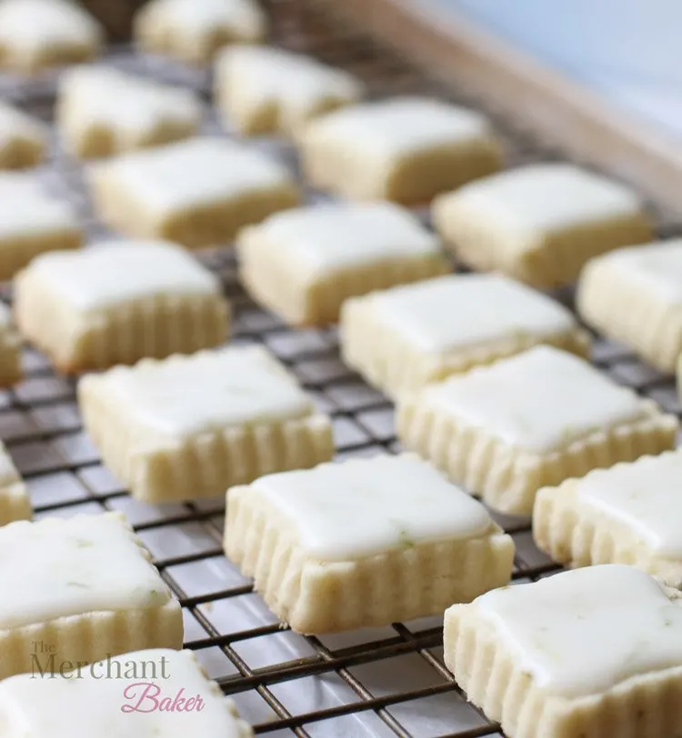 Close up view of a tray of iced meltaway cookies.