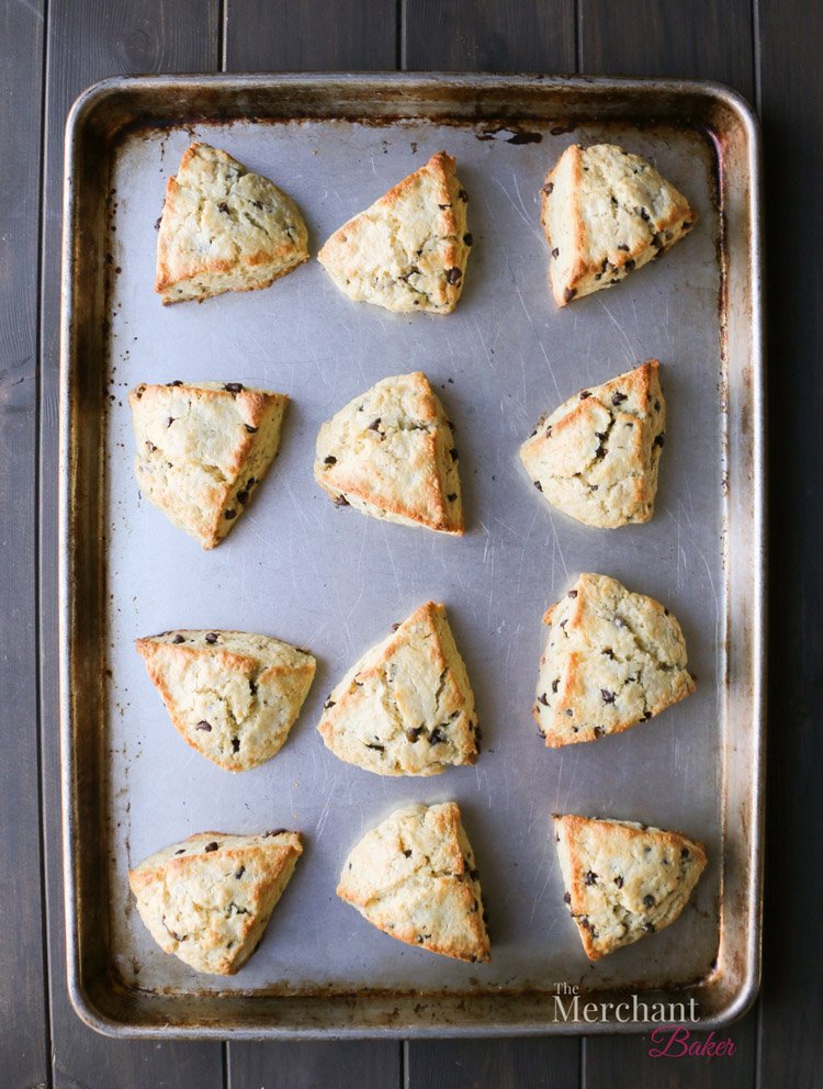 An overhead photo of fully baked chocolate chip scones on a baking sheet by themerchantbaker.com