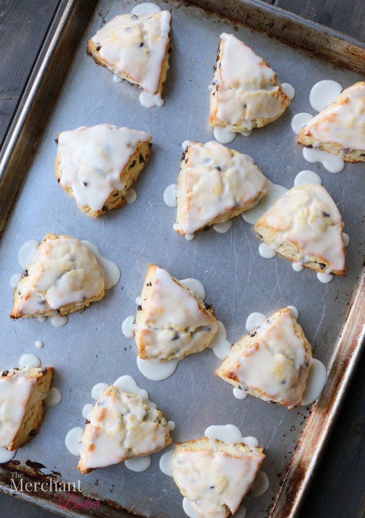 An overhead photo of chocolate chip scones topped with icing on a baking sheet by themerchantbaker.com