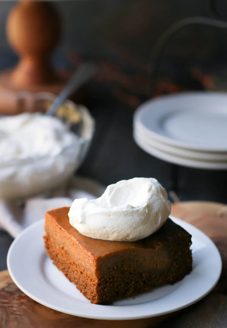 pumpkin pie gingerbread cake on a white plate with a dollop of whipped cream on top